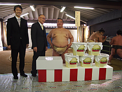 横綱 稀勢の里 20170304-S.png